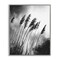 Stupell Industries Stark Contrast Wheat Framed Giclee Wall Art Design by Petal Prints Design